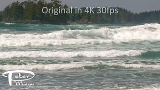 Waves hitting shore at sandy beach 4K nature stock footage