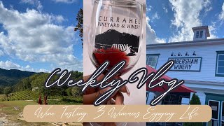 DAILY VLOG: POP THE CORK WINE TASTING | Dose Of Kendra | 2023