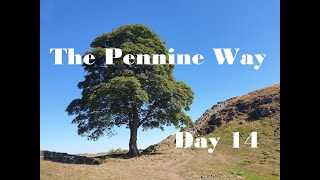 Pennine Way 2022  Day 14 All the tree's have gone