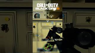 Hard Scoping with a SNIPER in Black Ops 6