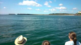 Porpoises just yards from the beach at Tenby!