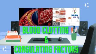 Blood Clotting/Coagulation