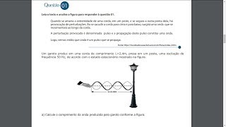 UEMA - PAES 2019 | Questão 1 Comentada de Física Segunda Etapa