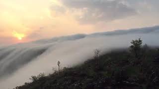 Nature is the best art | Status for nature lovers | fog