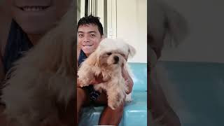 Bonding with Coco | Dog lovers