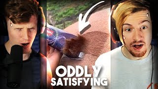 REACTING TO ODDLY SATISFYING VIDEOS