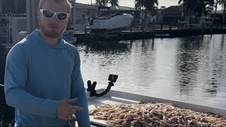 INSANE Hillsboro inlet shrimp run