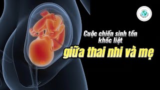 Cuộc chiến sinh tồn giữa thai nhi và mẹ