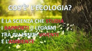 Ecosistemi, Ecologia, Catena alimentare