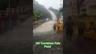 Old Courtallam falls Flood. Courtallam falls Season #kshnetcom