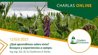 ¿Qué aprendimos sobre vicia? - Criadero El Cencerro SA - Ing. Agr. (Dr., M. Sc) Guillermo A. Divito