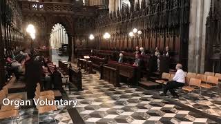 Beverley Minster Live