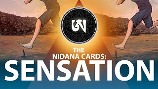 Sensation -  The Nidana Cards