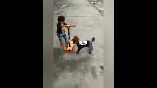 CUTE dog being mean bro‼️🤣🐕 aww video