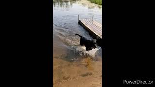 Toby at the old swimming hole.😄