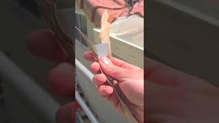 New Gutter and Gutter Guard Installed | Expert Plumber | Plumber Gold Coast