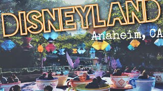 A Day At Disneyland ★ January 2016