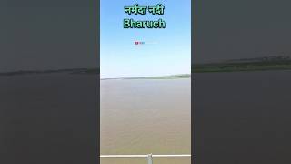 Narmada river | #shorts #youtubeshorts #youtubereels #viralvideo #tranding #amritkvlog