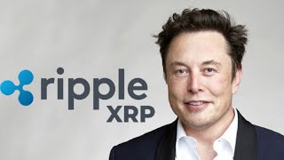 Incredible XRP News: Elon Musk's Involvement?