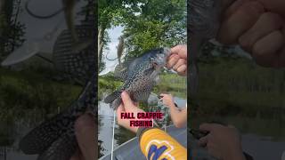 FALL Crappie Fishing - HOW TO Tips!! #shorts #fishing