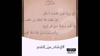 #شعر |وكُنْ رزينًا طويلَ الصَّمتِ ذا فِكرٍ