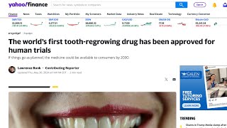 Update on human tooth-regrowing drug now set for September trials #teeth