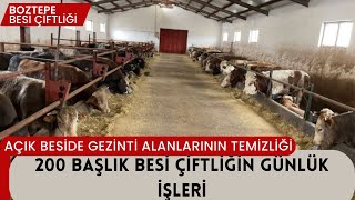 200 BAŞLIK AÇIK BESİ ÇİFTLİĞİNDE BİR GÜN