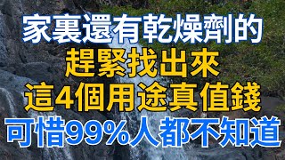 #養老 #養生 #幸福人生 #為人處世 #情感故事 #深夜讀書 | 食品中的幹燥劑，一包都別扔！这6種聪明的用途，花钱都买不到，可惜99%的人還不知道 #中老年心語