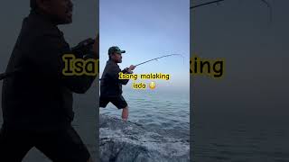 Malaking isda 😳 #fish #fishing #fishingtips #fishinglife #bigfish