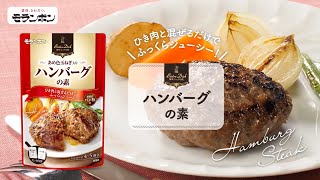 Bistro Dish ハンバーグの素