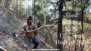 Arizona Shed Hunting 2020: Last Shed Hunt of 2020