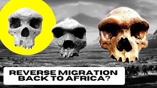 Historic New Discoveries in China Dismantle Out of Africa Theory