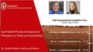 Soil Health Practices Impact on Phosphorus Pools and Availability