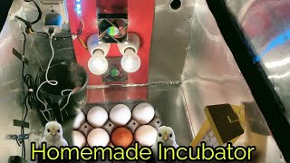 150 Eggs Homemade Incubator || SG Rangpur