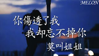 你傷透了我我卻忘不掉你—莫叫姐姐『若不是你給的溫柔一擊，我又怎會陷入無法自已』【動態歌詞Lyrics】