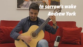 Antonio Pezzullo plays In sorrow's wake by Andrew York