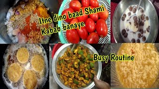 Shami Kabab Banaye | Aam Ka Achar Bi Aaj daal Hi Liya | Full Busy Day Routine