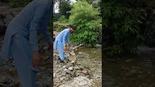 Sta la ghegy tali shna zaghun totyan de | Tan tana watan | Javid Amir Khil | Bajaur