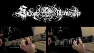 Satanic Warmaster - Raging Winter [Guitar Cover]