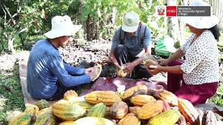 #SelvaCentral Cumbre Macrorregional Amazónica por la  II Reforma Agraria