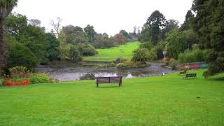 Early Morning in Melbournes Botanic Gardens with Soothing Sound of Birds