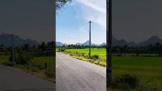 #kanyakumari #heaven #nature #shorts #nagercoil #ride #feel #positivevibes #green