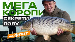 🐟 Нові ХИТРОЩІ для ловлі на ФЛЕТ-ФІДЕР: зловив ТРОФЕЙНОГО КОРОПА 10 кг та величезних КАРАСІВ!