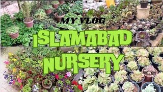 Islamabad Nursery Tour and plant ||Beautiful flowers & fruit plants available