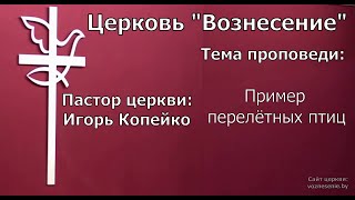 Игорь Копейко - Пример перелётных птиц (09.10.2022)