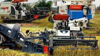 Techniques Excellent Operator Tractor Kubota Agriculture Revolution Harvesting Rice | Farmer-Tractor