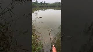 Wait for end 😱😱 #fishing #fish #big_fish #fishing_videos #reels