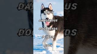 Top 10 dangerous dog in india 2024 #short #ytshort