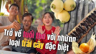 Cùng Tía quay về tuổi thơ ăn những món trái cây tuổi thơ phần 2