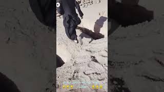 تلفات سنگین زمین لرزه در افغانستان _ Heavy earthquake casualties in Afghanistan